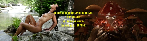 тгк Володарск