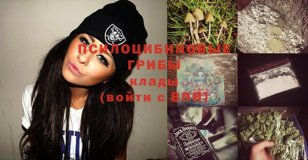 тгк Володарск