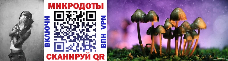 Псилоцибиновые грибы Psilocybine cubensis Заполярный
